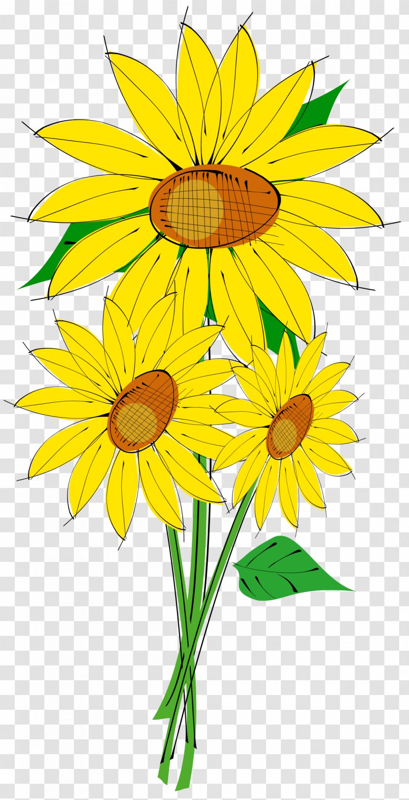 Common Sunflower Clip Art - Floristry - Sun Flower Transparent PNG