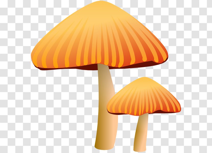 Mushroom Morchella Clip Art - Lighting Transparent PNG