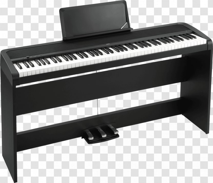 KORG B1SP Digital Piano Musical Instruments - Flower Transparent PNG