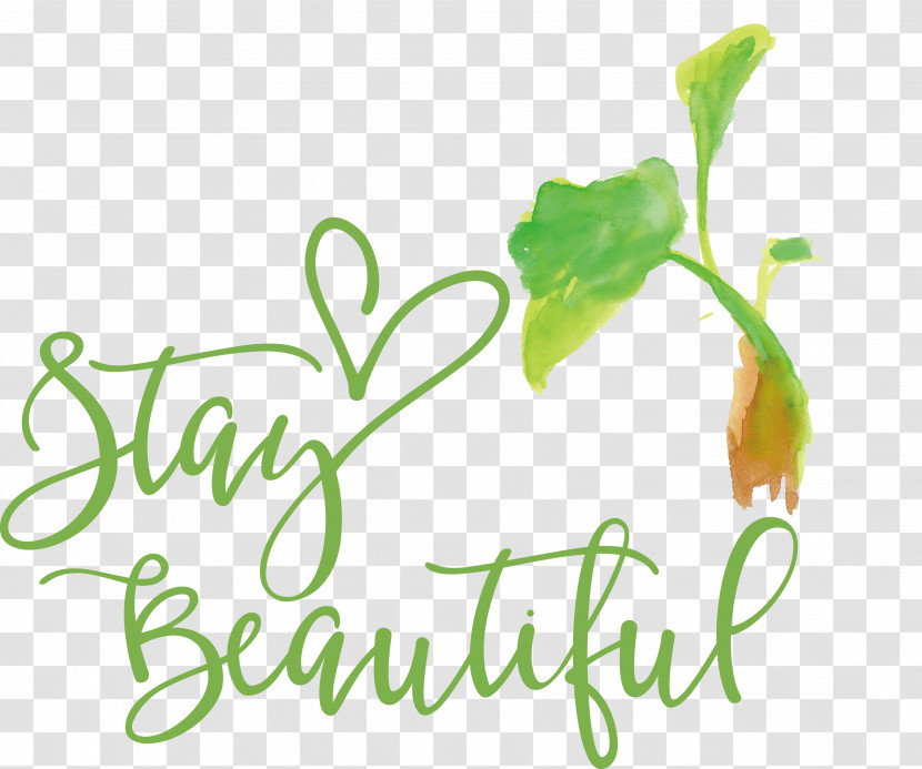 Stay Beautiful Fashion Transparent PNG