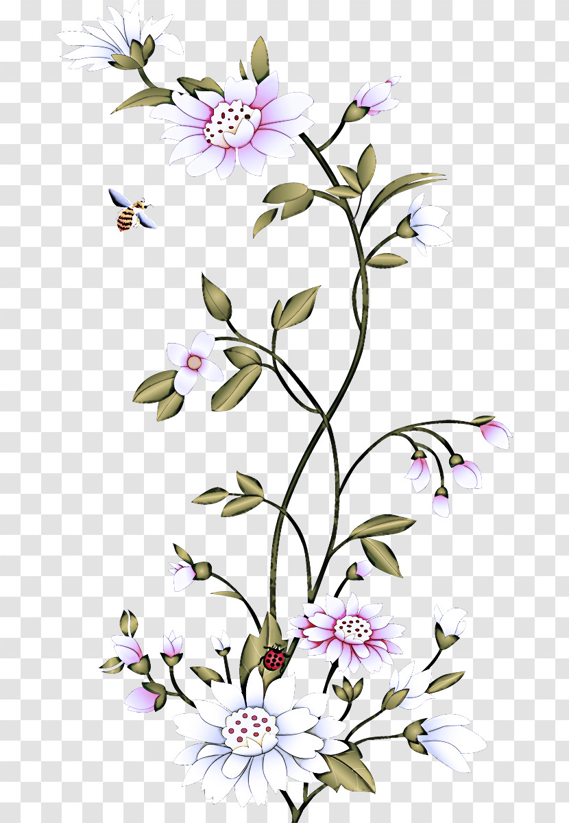 Flower Plant Pedicel Petal Cut Flowers Transparent PNG