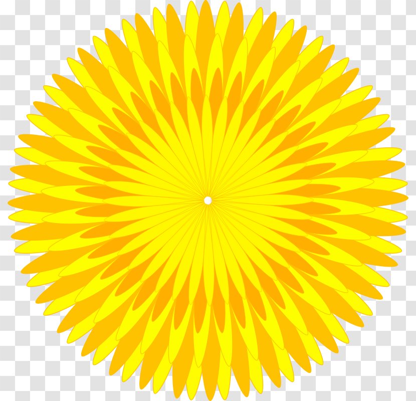 Common Dandelion Yellow Clip Art - Symmetry Transparent PNG
