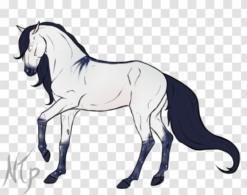 Mule Stallion Pony Foal Mustang - Bridle Transparent PNG