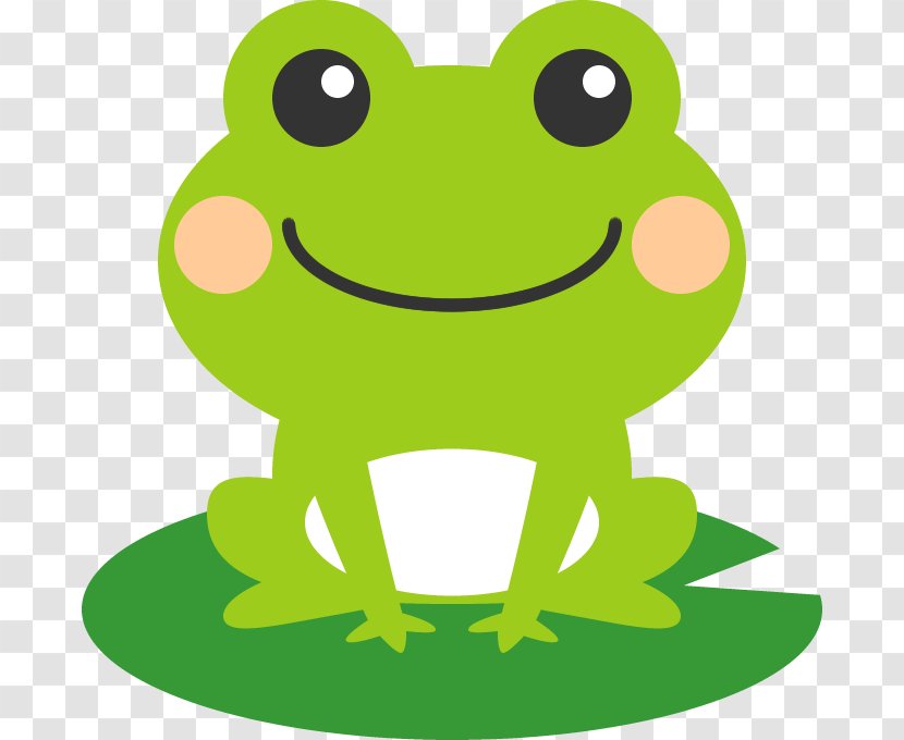 Frog Photography グーネット Transparent PNG