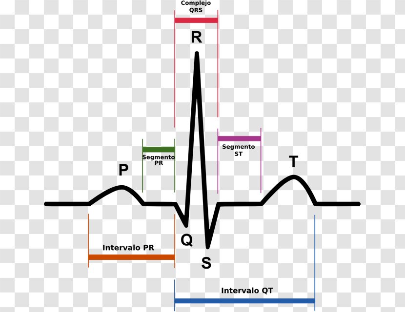 Electrocardiography QRS Complex Sinus Rhythm Heart T Wave - Electrophysiology - Point Triangle Transparent PNG