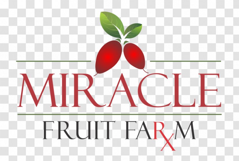Logo Brand Font Product Fruit - Area - MIRACULOUS Transparent PNG