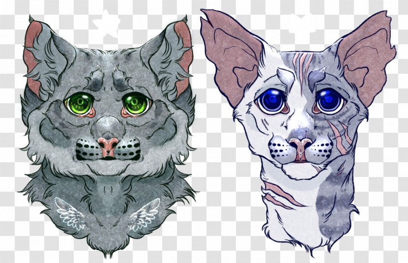 Whiskers Kitten Drawing Snout Transparent PNG