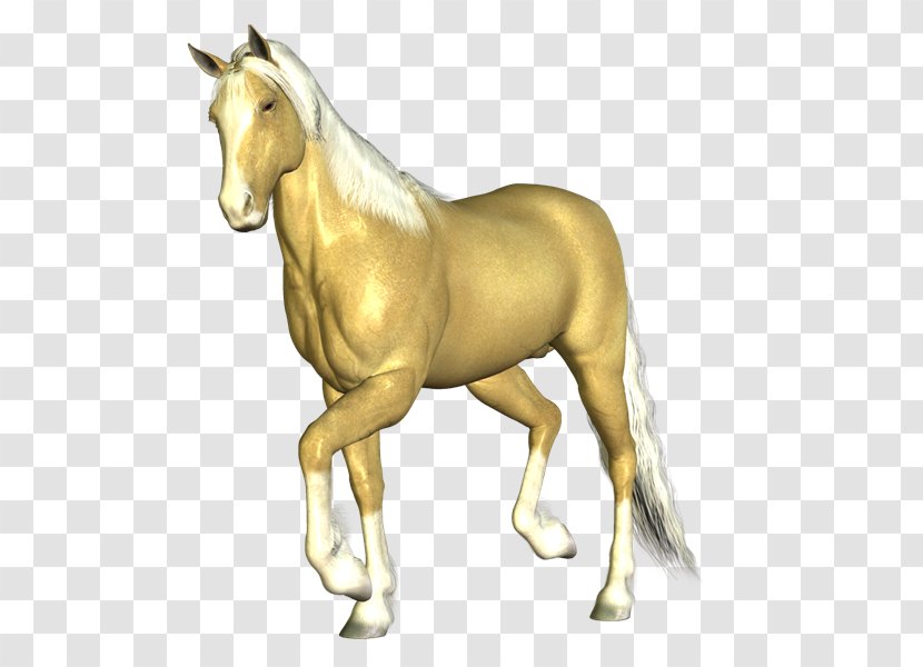 Mustang Mane Stallion Colt Foal - Fictional Character - Cabal Transparent PNG