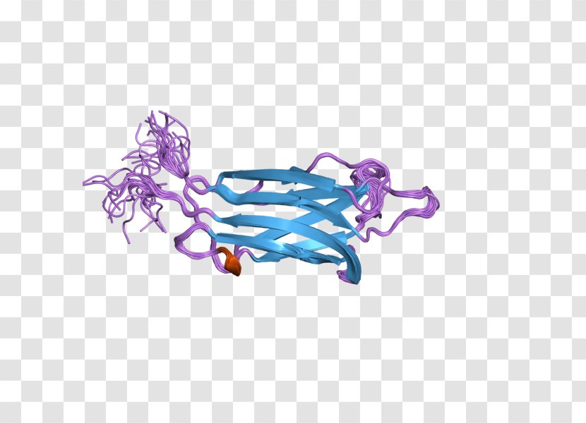Myoferlin Dysferlin Protein Human C2 Domain - Tree - Silhouette Transparent PNG