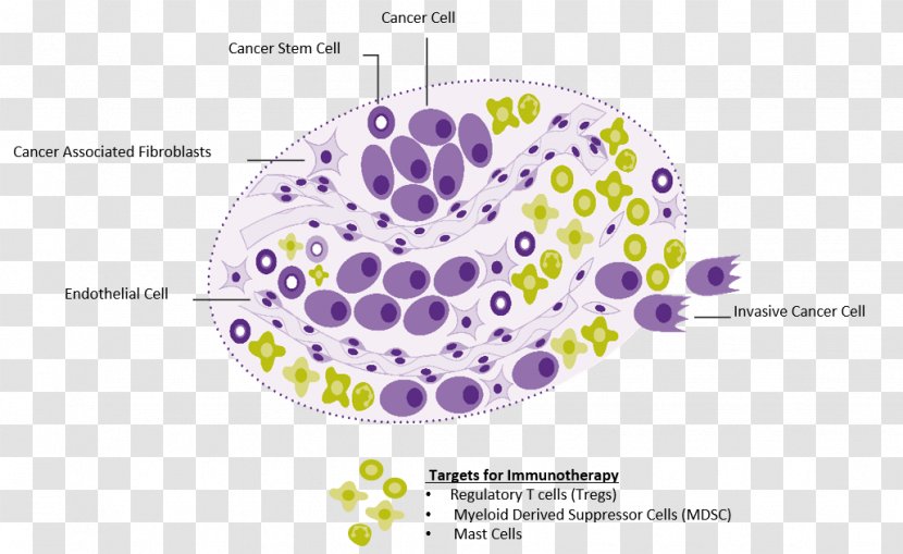 Basal-cell Carcinoma Squamous Cell Skin Cancer Mohs Surgery - Metastasis - Biopharmaceutical Transparent PNG