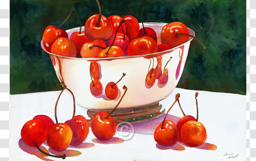 Habanero Still Life Anne Abgott Water Colors Painting Food Transparent PNG