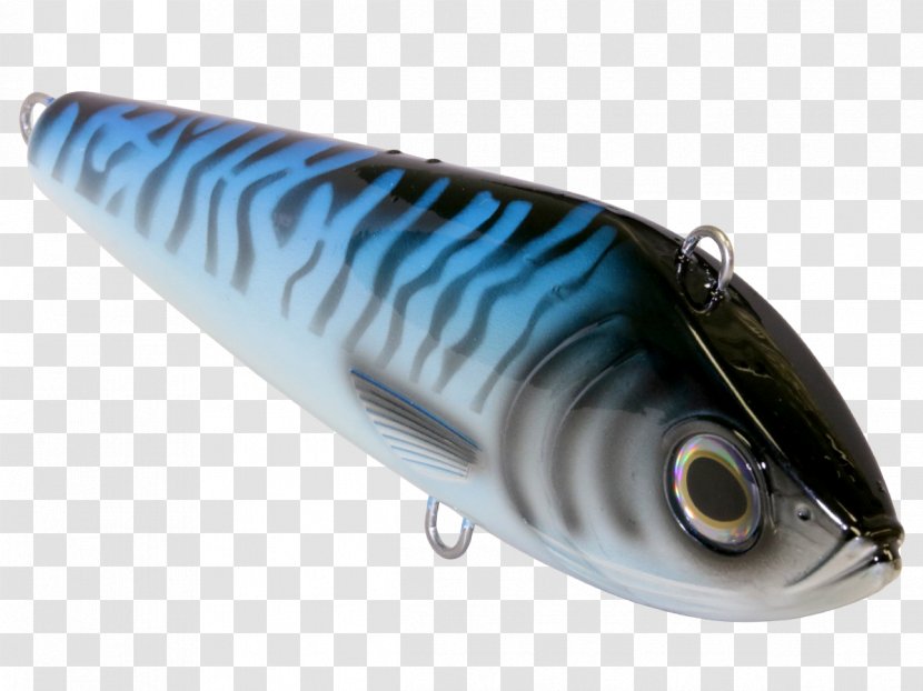 Spoon Lure Sardine Oily Fish Mackerel - Low Angle Shot Transparent PNG