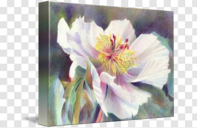 Still Life Watercolor Painting Fine Art Work Of - Drawing - Creative Peony Transparent PNG