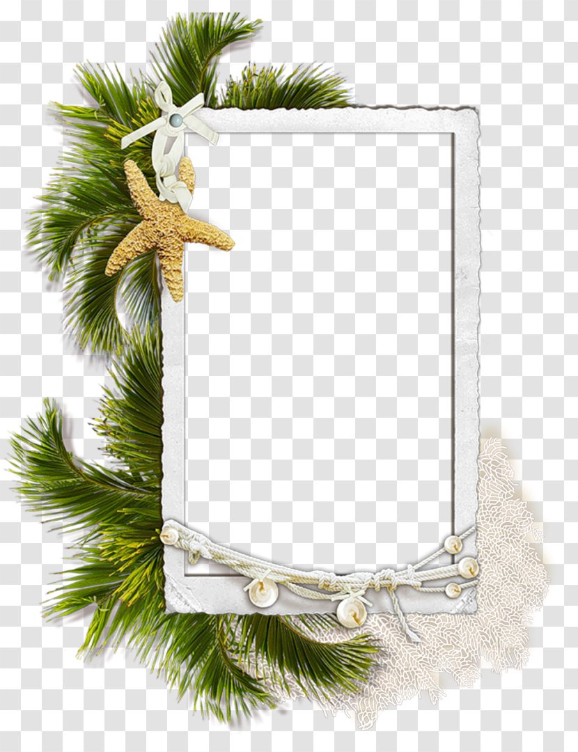 Clip Art Image Picture Frames - Spruce - Bamboo Transparent PNG