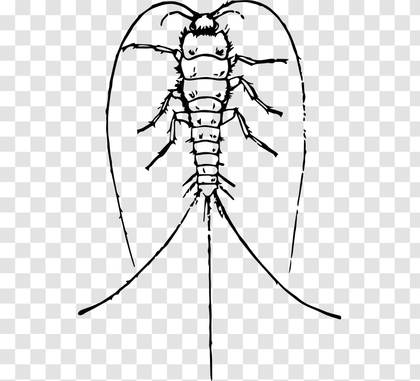 Silverfish Invertebrate Drawing Clip Art - Heart Transparent PNG