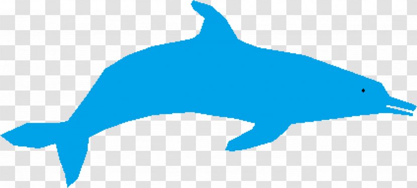 Common Bottlenose Dolphin Tucuxi Clip Art - Zip Transparent PNG