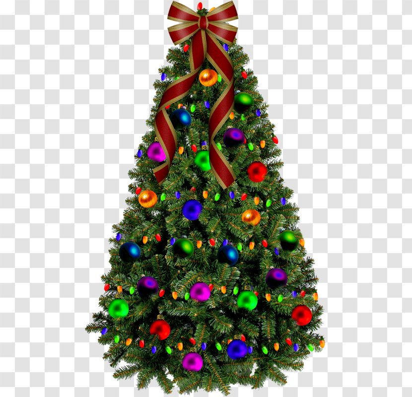 Christmas Day Greeting Tree Santa Claus Gift - Pine Transparent PNG