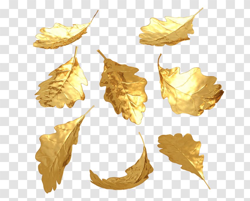 Gold Leaf Stock Photography Gilding Clip Art Transparent PNG