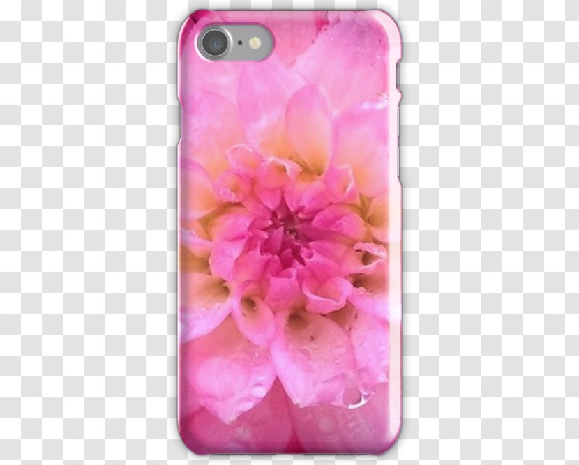 Peony Pink M RTV Dahlia Petal - Flower - Iphone Transparent PNG