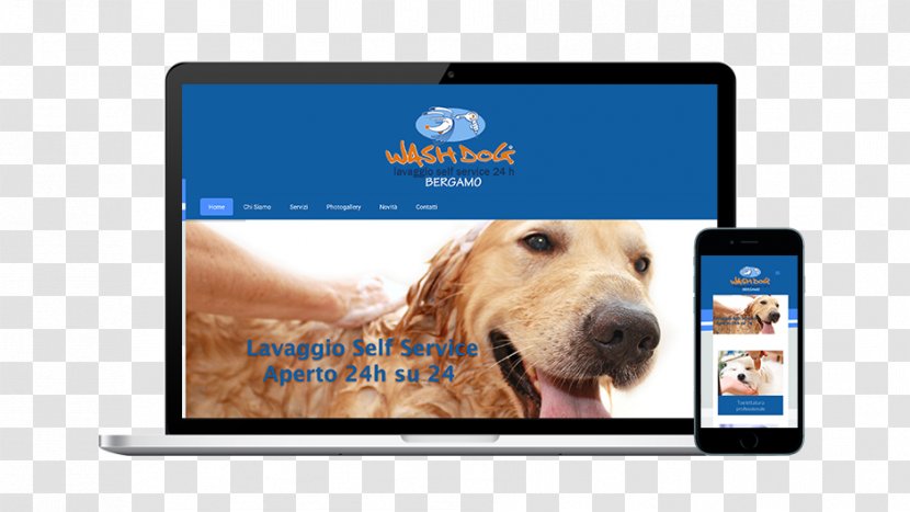 Golden Retriever Puppy Dog Breed Display Advertising Electronics - Video Transparent PNG