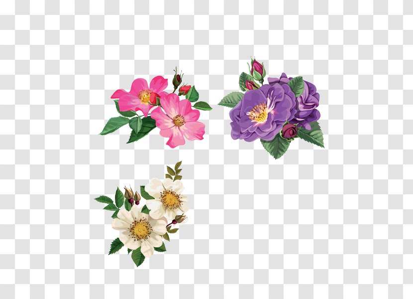 Rosa Arkansana Dog-rose Flower Illustration - Rose Order - Floral Decoration Pattern Transparent PNG