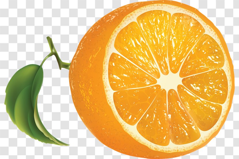 Orange Juice - Mandarin Transparent PNG