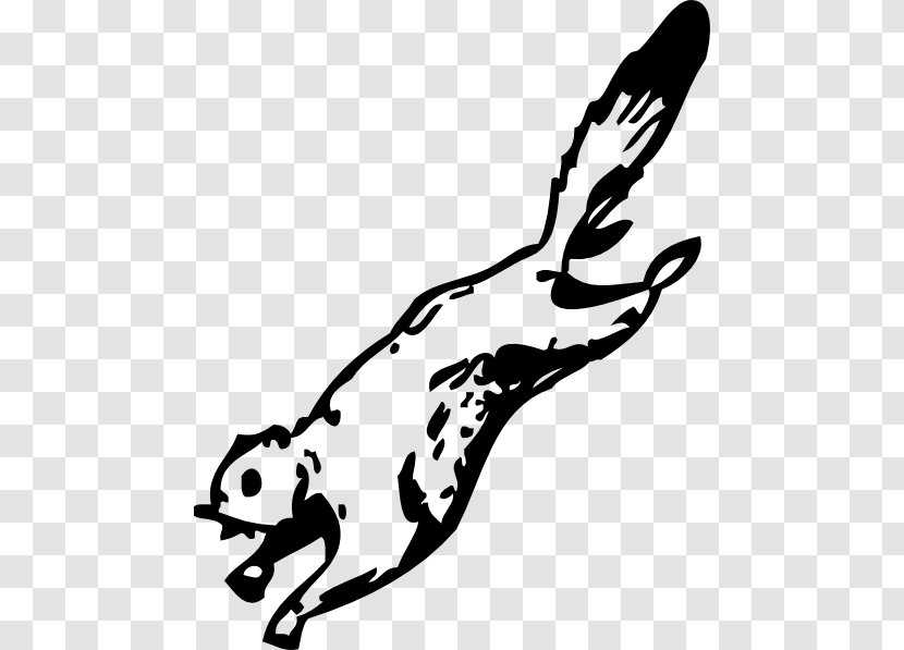 Flying Squirrel Clip Art - Joint - Coloring Page Transparent PNG
