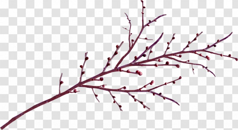 Twig Branch Clip Art - Plant - Leaf Transparent PNG