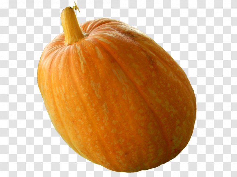 Pumpkin Calabaza Vegetarian Cuisine Gourd Winter Squash - Commodity - Real Transparent Image Transparent PNG