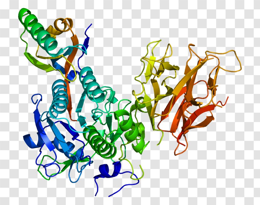 PCSK9 Bococizumab Protein Alirocumab Statin - Cartoon Test Tubes Transparent PNG