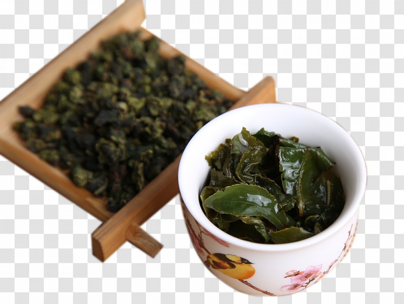 Anxi County Nilgiri Tea Tieguanyin Oolong - Sea Vegetables - Tie Guanyin Transparent PNG