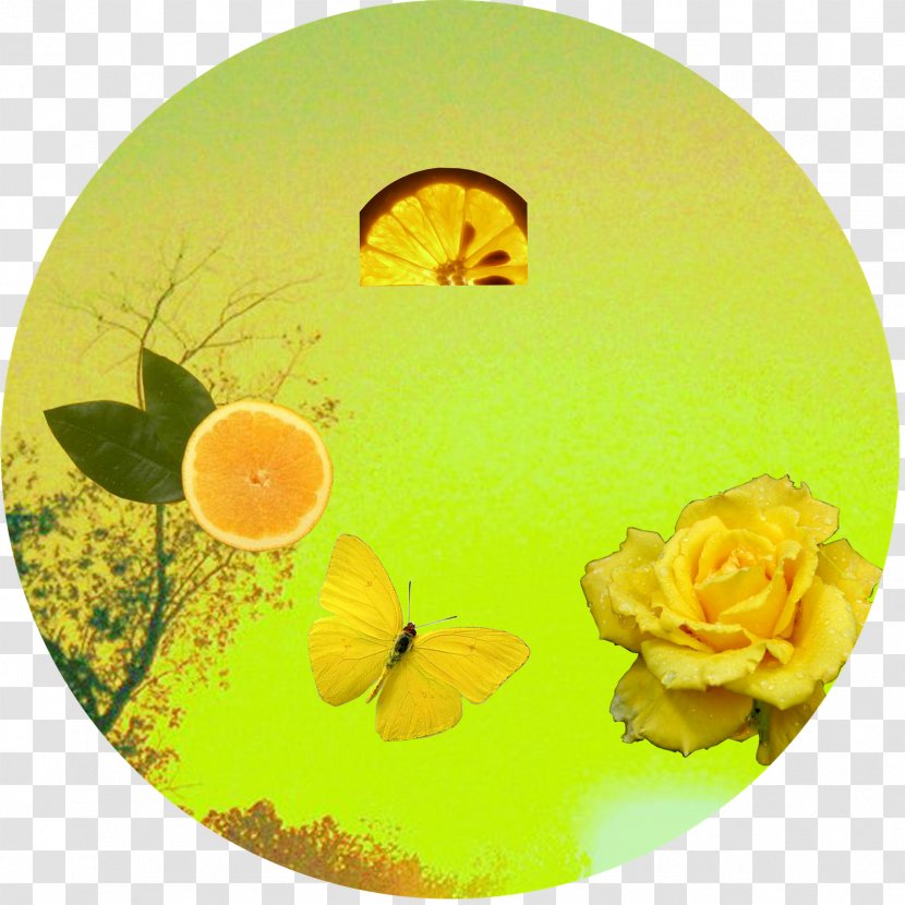 Color Wheel Theory Petal Play Art - Flower - Anita Transparent PNG