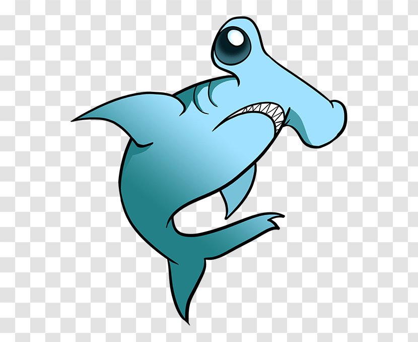 Hammerhead Shark Drawing Smalleye Cartoon - Common Dolphins - Bruce Transparent PNG