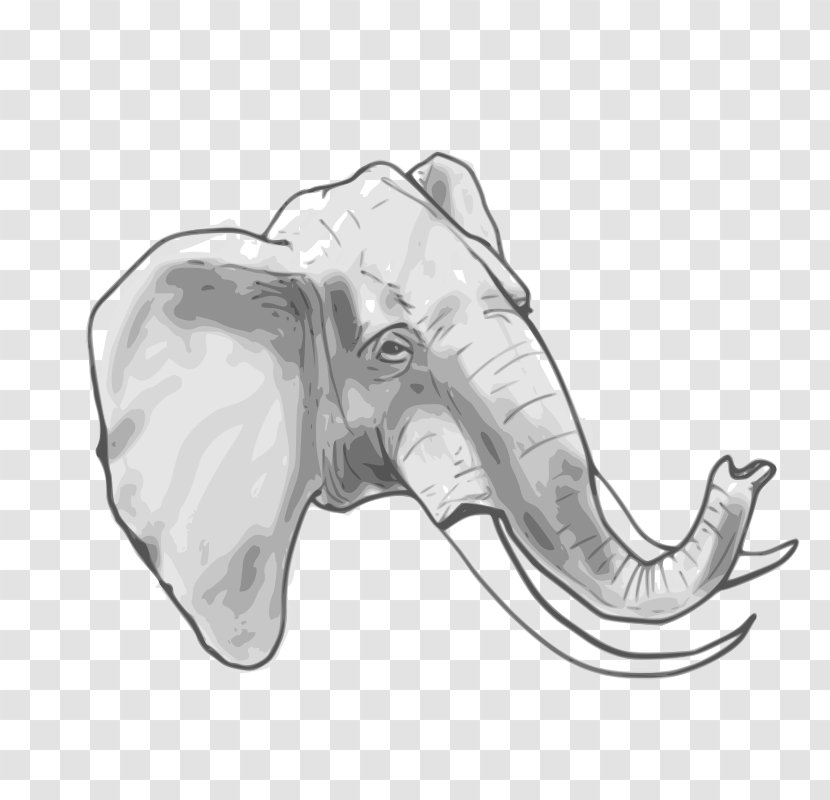 Elephant Clip Art - Elephants And Mammoths - Circus Animal Pictures Transparent PNG