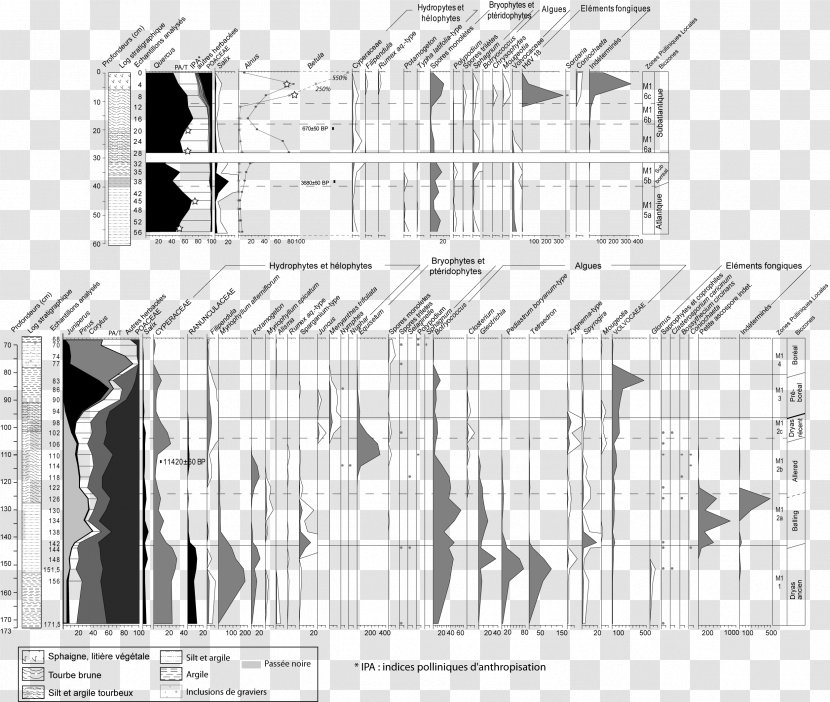 Paper Architecture Black & White - Shed - M Graphic Design DiagramBetula Illustration Transparent PNG