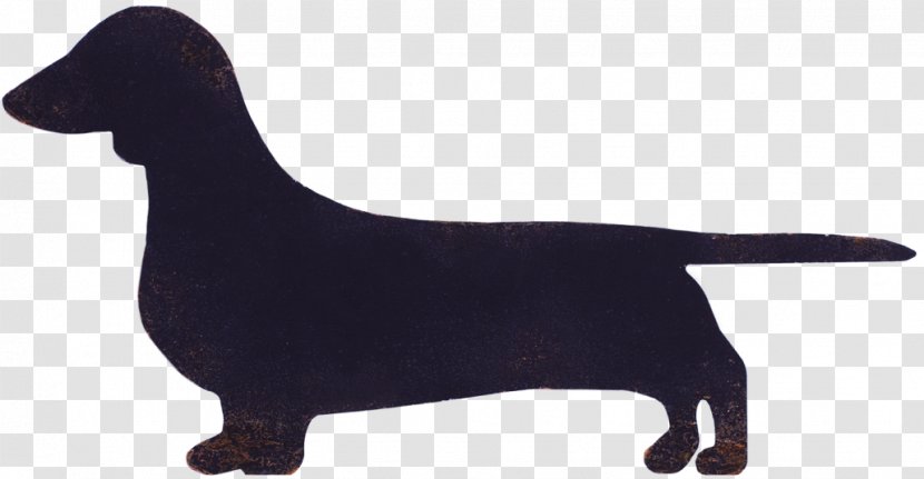 Miniature Dachshund Flat-Coated Retriever Dog Breed Clip Art - Flatcoated - Animal Transparent PNG