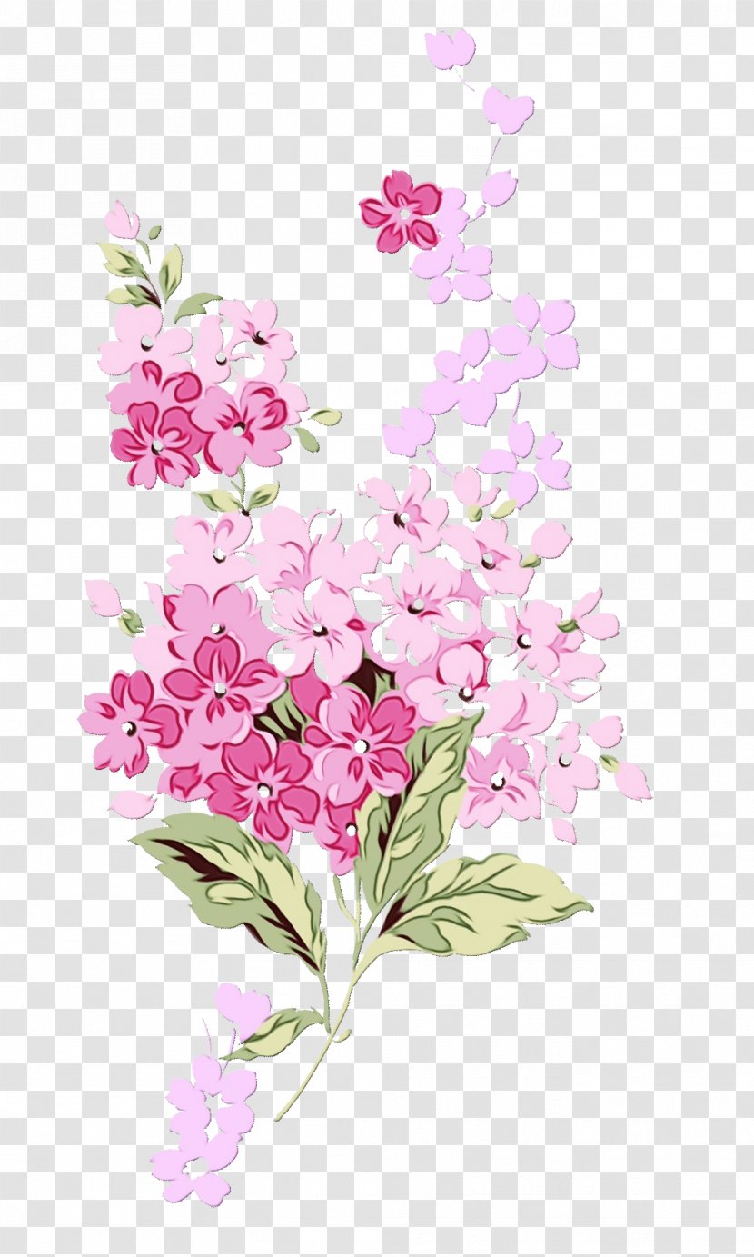 Flower Flowering Plant Lilac Pink - Watercolor - Cut Flowers Petal Transparent PNG