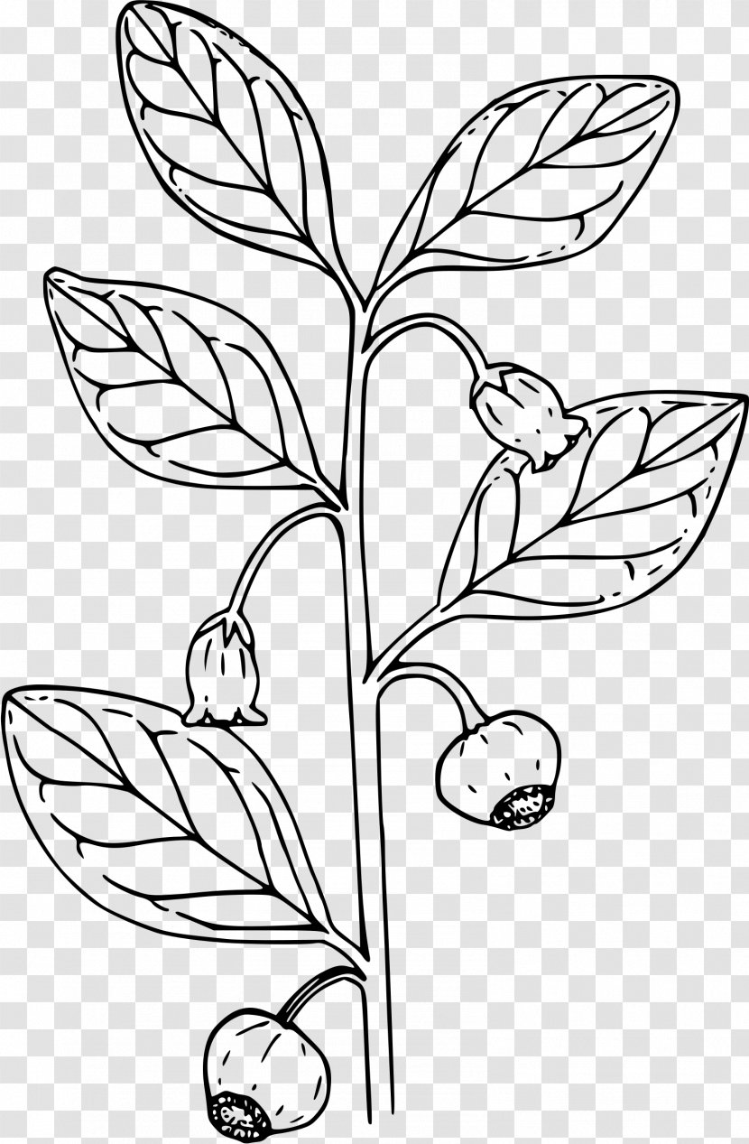 Coloring Book Berry Bears Clip Art - Monochrome - Big Leaves Transparent PNG