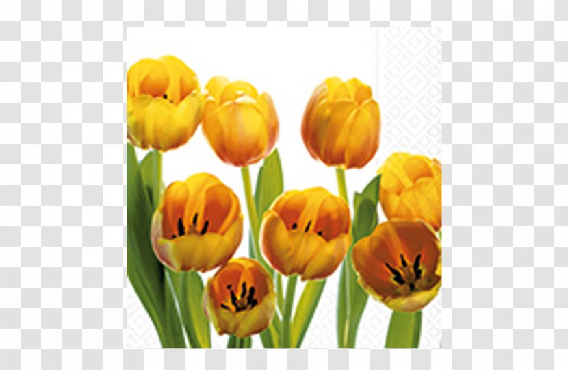 Tulip Paper Cloth Napkins Cut Flowers - Spring Transparent PNG