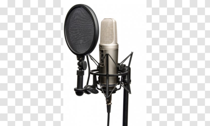 Røde Microphones RØDE NT2-A Shock Mount Recording Studio - Diaphragm - Microphone Transparent PNG