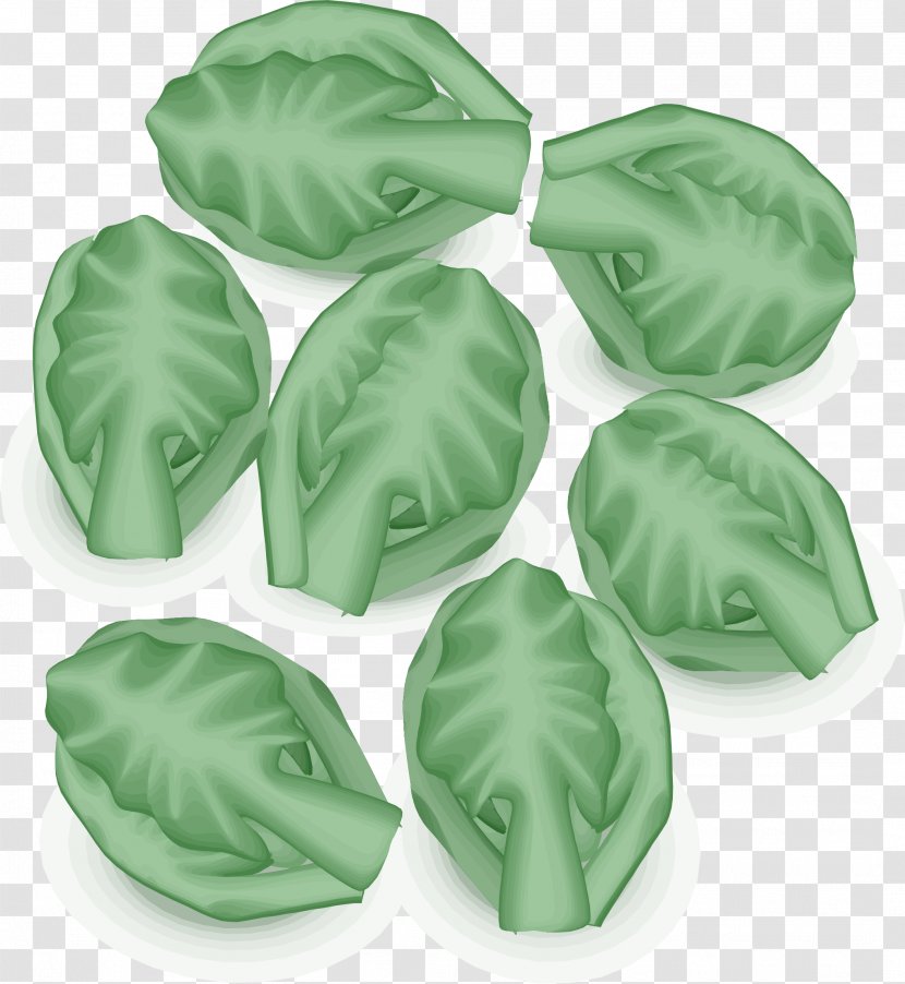 Brussels Sprout Leaf Vegetable Bubble And Squeak Cabbage Sprouting - Vegetation Clipart Transparent PNG