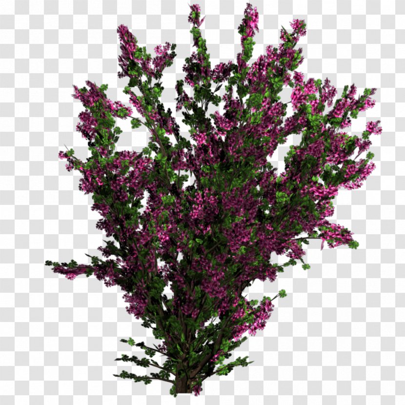Flower Plant Tree Shrub Texture Mapping - Bushes Transparent PNG