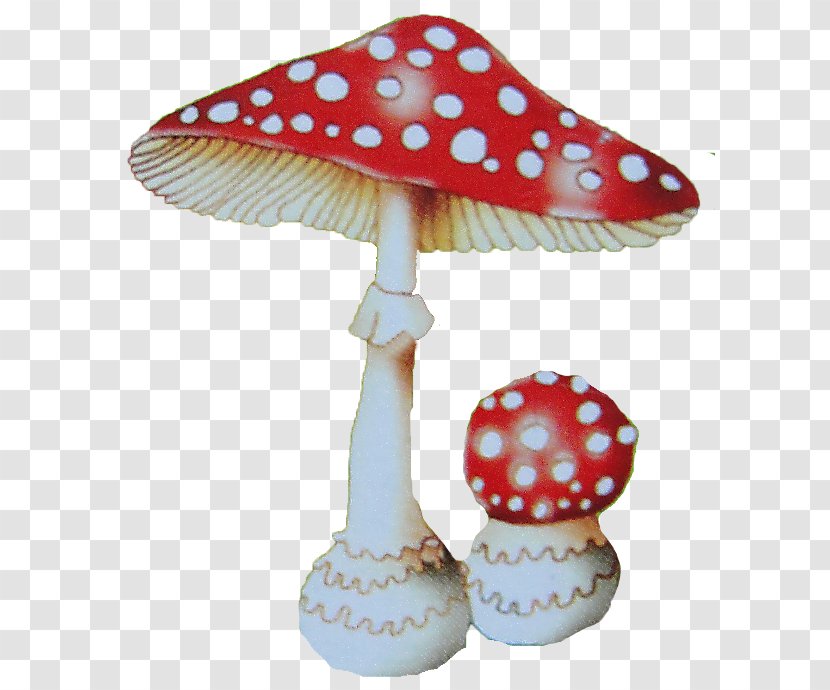 Amanita Fungus Poisonous Mushroom Clip Art - мухомор Transparent PNG