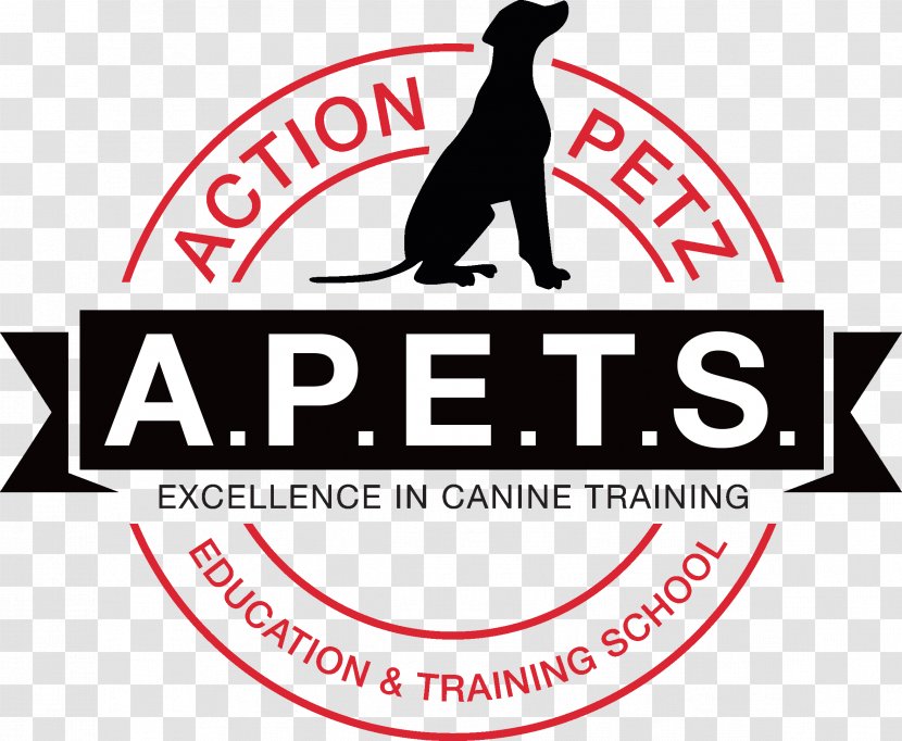 Dog Training Action Petz Bridgend Newport Park - Education Transparent PNG