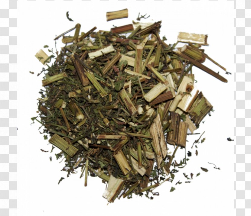 Herb Tincture Medicinal Plants Extract Sweet Wormwood - Herbal Tea - Health Transparent PNG