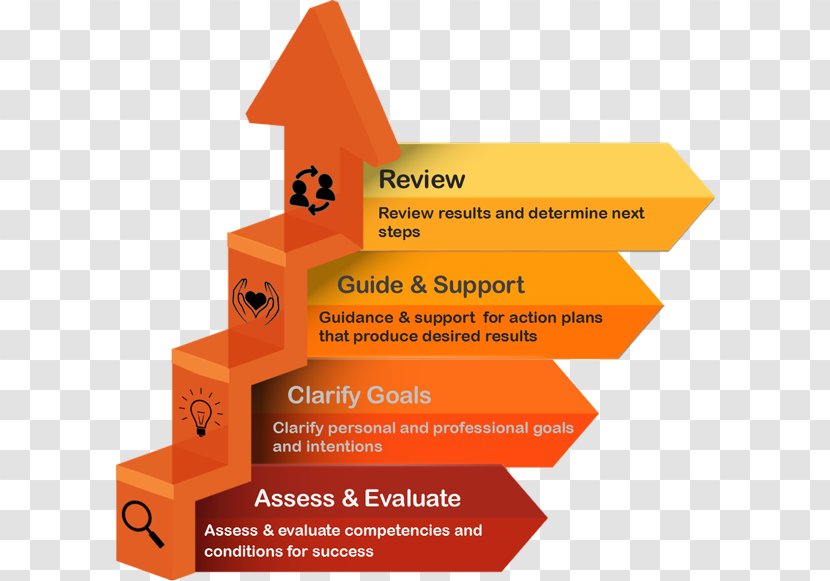 Diagram Graphics Succession Planning Brand - Process Evaluation Transparent PNG