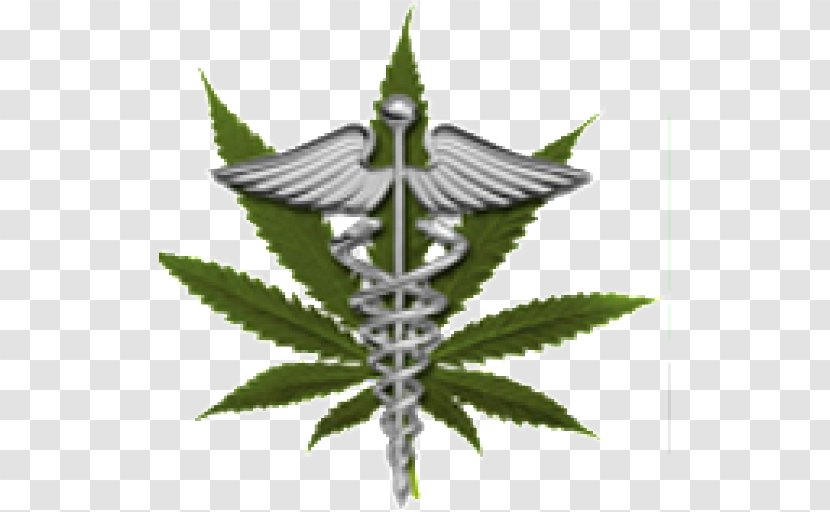 Medical Cannabis Marijuana Card Dispensary LoDo Wellness Center - Hemp Family Transparent PNG