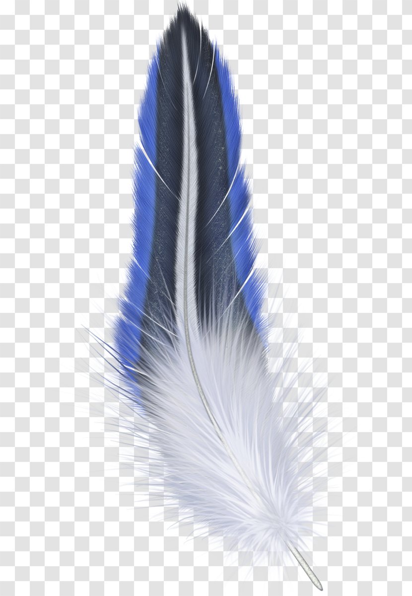 Feather Clip Art Transparent PNG