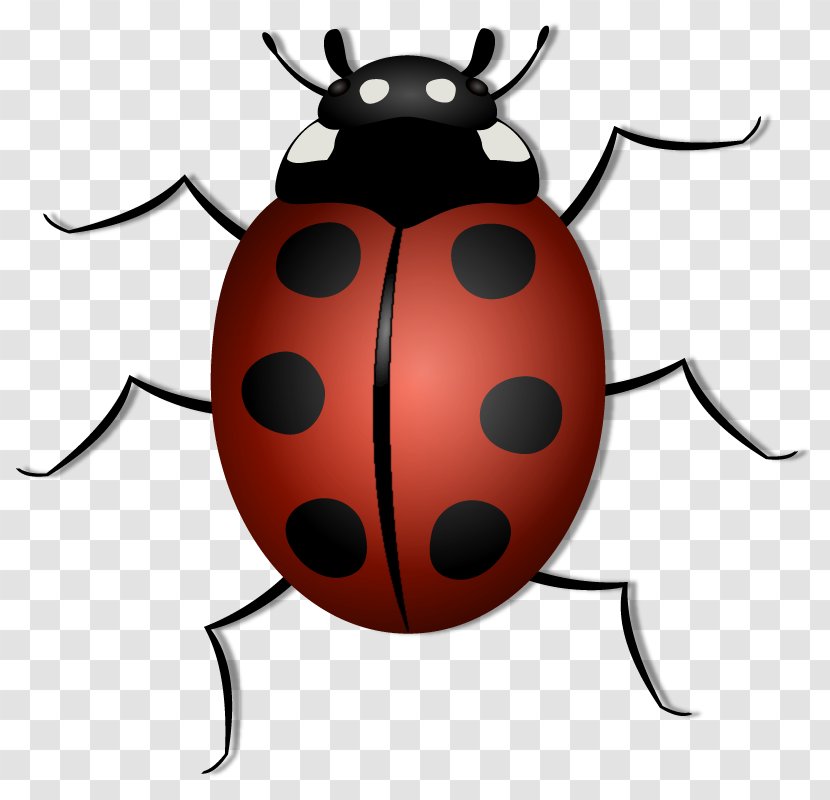Insect Clip Art - Free Content - Ladybug Vector Transparent PNG