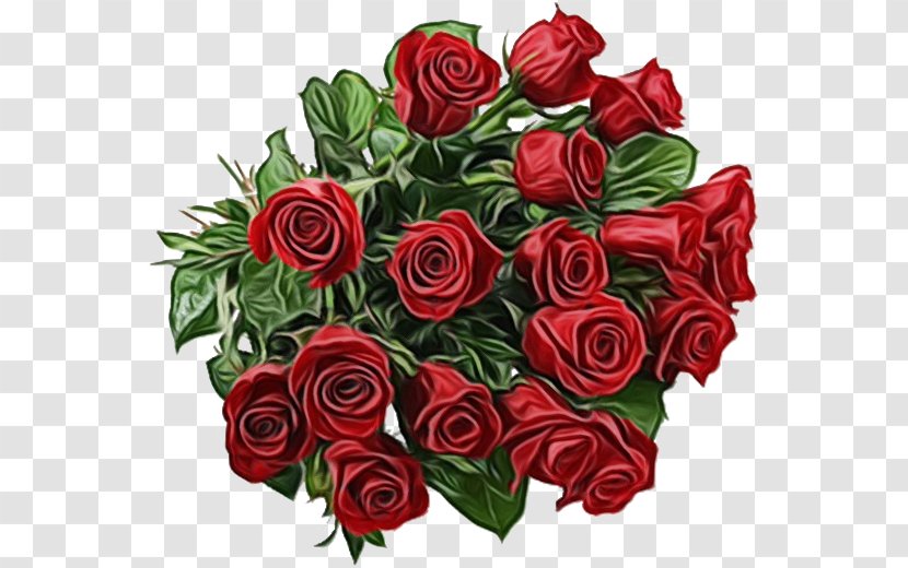 Garden Roses - Flower - Floribunda Rose Family Transparent PNG